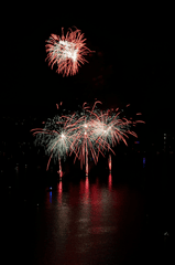Pháo hoa, pháo, firework, tết, lễ hội, festival, hình nền, background - Rino Adamo 6