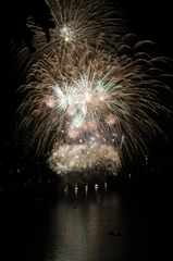 Pháo hoa, pháo, firework, tết, lễ hội, festival, hình nền, background - Rino Adamo 2