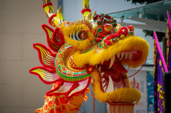 Múa rồng, rước rồng, lễ hội, festival, Tết, Tết holiday, văn hóa - HONG SON 6