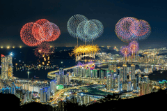 Pháo hoa, pháo, firework, tết, lễ hội, festival, hình nền, background - Rino Adamo 34