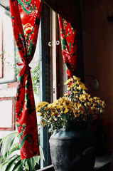 Cửa sổ, màn cửa, Tết, Tết Nguyên Đán, window, curtain, Tet, Lunar New Year - Tuan Vy