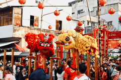 Múa lân, lễ hội, festival, Tết, Tết holiday, văn hóa - HONG SON 1