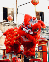 Lân, múa lâ, unicorn, unicorn dance, Tết, Tết Nguyên Đán, window, curtain, Tet, Lunar New Year - Tuan Vy 1