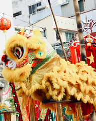 Múa lân, lễ hội, festival, Tết, Tết holiday, văn hóa - HONG SON 15