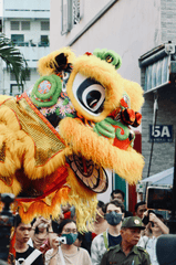Múa lân, lễ hội, festival, Tết, Tết holiday, văn hóa - HONG SON
