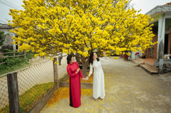 Cô gái, nữ, áo dài, tết, girl, women, ao dai, Tet- Võ Văn Tiến