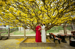 Cô gái, nữ, áo dài, tết, girl, women, ao dai, Tet- Võ Văn Tiến 1