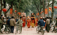 Tết, Tết Nguyên Đán, mua sắm, chợ tết, lân, decorations, Tet, Lunar New Year, shopping, Tet market, lanterns- Simon Duc Nguyen 1