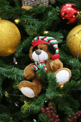 Gấu bông, trang trí, giáng sinh, dễ thương, teddy bear, decoration, christmas, cute- Thgusstavo Santana