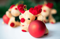 Gấu bông, trang trí, giáng sinh, dễ thương, teddy bear, decoration, christmas, cute- Mateusz Feliksik 2