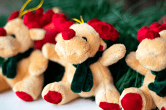 Gấu bông, trang trí, giáng sinh, dễ thương, teddy bear, decoration, christmas, cute- Mateusz Feliksik