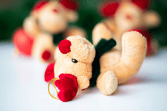 Gấu bông, trang trí, giáng sinh, dễ thương, teddy bear, decoration, christmas, cute- Mateusz Feliksik