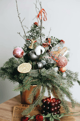 Bình hoa, bình giáng sinh, trang trí, cành thông, Vase, christmas vase, decoration, pine branch - Melike B