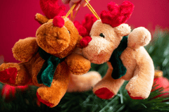 Gấu bông, trang trí, giáng sinh, dễ thương, teddy bear, decoration, christmas, cute- Mateusz Feliksik