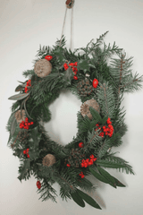 Vòng hoa lễ giáng sinh, vòng treo cửa, giáng sinh, trang trí, christmas wreath, door hanger, christmas, decoration - Milada Vigerova