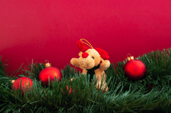 Gấu bông, trang trí, giáng sinh, dễ thương, teddy bear, decoration, christmas, cute- Mateusz Feliksik 1