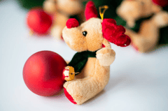 Gấu bông, trang trí, giáng sinh, dễ thương, teddy bear, decoration, christmas, cute- Mateusz Feliksik 1