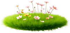 Nền cỏ, bãi cỏ 2