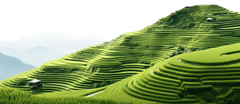 Ruộng, ruộng bậc thang, terraced fields