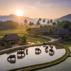 8th8 . Với đặc điểm phong cách thực tế . Nếu người dùng không...