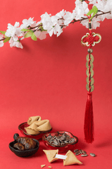 Mứt tết, hạt dưa, không khí tết, ẩm thực ngày tết, Tet jam, melon seeds, Tet atmosphere, Tet cuisine - Fr