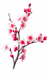 Hoa đào, cherry blossom, flower, tết, xuân, spring, truyền thống, Việt Nam, hình nền, background 9