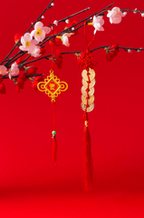 Hoa đào, cherry blossom, flower, tết, xuân, spring, truyền thống, Việt Nam, hình nền, background 8