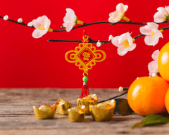 Hoa đào, cherry blossom, flower, tết, xuân, spring, truyền thống, Việt Nam, hình nền, background 6