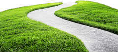 Cỏ, con đường, con đường cỏ, road grass, grass, road wave