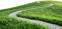 Cỏ, con đường, con đường cỏ, road grass, grass, road wave