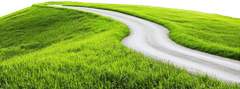 Cỏ, con đường, con đường cỏ, road grass, grass, road wave
