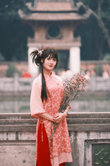 Áo dài, áo dài Việt Nam, áo dài cách tân, con gái, girl, truyền thống, Việt Nam - TBD Tuyên 2