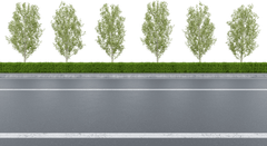 Đường nhựa, đường, đường đi, road, con đường