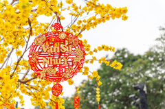 Hoa mai, tag treo tết, trang trí tết, không khí tết, tết nguyên đán, Apricot blossoms, New Year's hanging tags, New Year's decorations, New Year's atmosphere, Lunar New Year - fedesign92 3