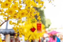 Hoa mai, tag treo tết, trang trí tết, không khí tết, tết nguyên đán, Apricot blossoms, New Year's hanging tags, New Year's decorations, New Year's atmosphere, Lunar New Year - fedesign92 1