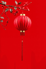 Đèn lồng, tết, hoa đào - doanhnguyen1848 1