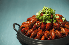 Tôm, tôm hùm, món ăn, hấp dẫn, shrimp, lobster, dish, delicious - menglei