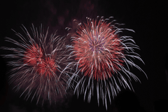 Pháo hoa, sáng, chúc mừng năm mới, không khí năm mới, fireworks, bright, Happy New Year, New Year atmosphere - nguyentuanhung