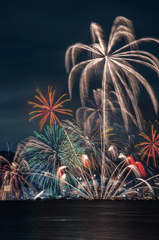Pháo hoa, phát sáng, chúc mừng năm mới, không khí năm mới, fireworks, bright, Happy New Year, New Year atmosphere - Kanenori