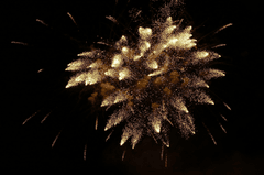 Pháo hoa, pháo, firework, tết, lễ hội, festival, hình nền, background - truk