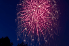 Pháo hoa, pháo, firework, tết, lễ hội, festival, hình nền, background - SD-Pictures 1