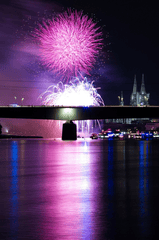 Pháo hoa, pháo, firework, tết, lễ hội, festival, hình nền, background - SD-Pictures