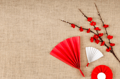 Hoa mai đỏ, trang trí cùng quạt giấy, thực vật, màu đỏ, quạt giấy trắng, quạt tròn, tết nguyên đán, may mắn, nền vải bao bố, red apricot blossom, decorated with paper fans, plant, red