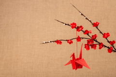 Chim thiên nga giấy, treo, đồ chơi, hoa mai đỏ, cành hoa, trang trí, tết, origami, màu đỏ, phông nền vải bố, paper crane, hanging, toy, red apricot blossoms, flower branches, decoration