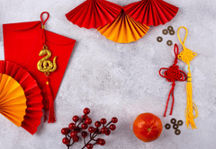 Linh vật rắn, tết nguyên đán, trang trí, bao lì xì, quạt giấy, lồng đèn, đồng xu, cành lựu, nút thắt may mắn, màu đỏ, màu vàng, khung ảnh, snake mascot, lunar new year, decoration - yuliyafurman 4
