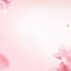 Nền hoa, pink 1