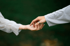 Nắm tay, bàn tay - Tùng Sơn 3