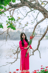Cn gái, áo dài, Tết - Toàn Văn 14