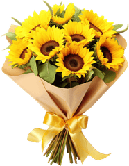 Hoa hướng dương, flower