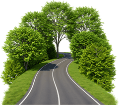 Con đường, road 6